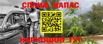 МДПВ Гусиноозёрск