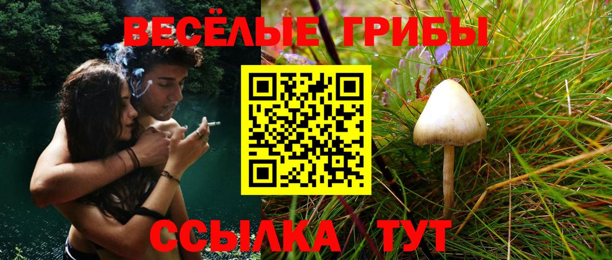 Галлюциногенные грибы MAGIC MUSHROOMS Вышний Волочёк
