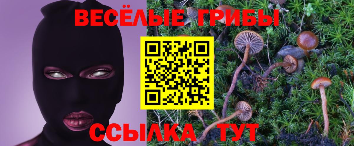 Вышний Волочёк  Галлюциногенные грибы мухоморы  Вход с VPN 